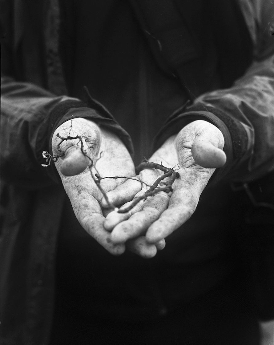 Copyright © Anka Sielska