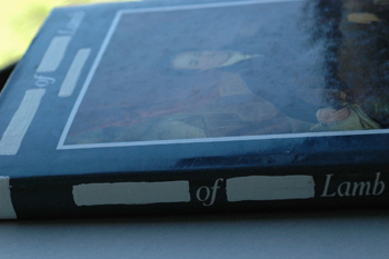 Matthea Harvey and Amy Jean Porter