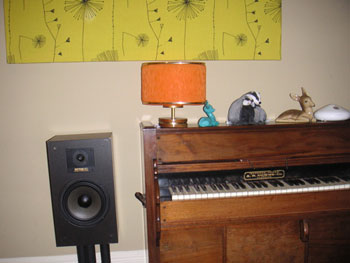 Thorn's self-portrait in a mirror