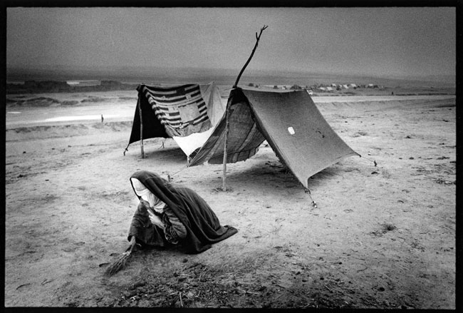 Afghanistan, Sar-e-Pol 2001, Refugee collects sheep droppings to fuel a fire