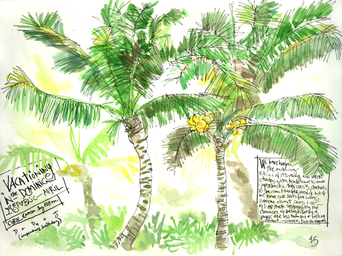 ‘We have begun the morning ritual of securing our deck chairs with beach towels and paperbacks. Patti uses three, stacked, so she can transfer easily [from her wheelchair] but if we leave our seats for long, someone always snags one or two off her stack. Apparently the chances of being killed by a shark are less than by a falling coconut – Source, Jack Tea Gregory.’