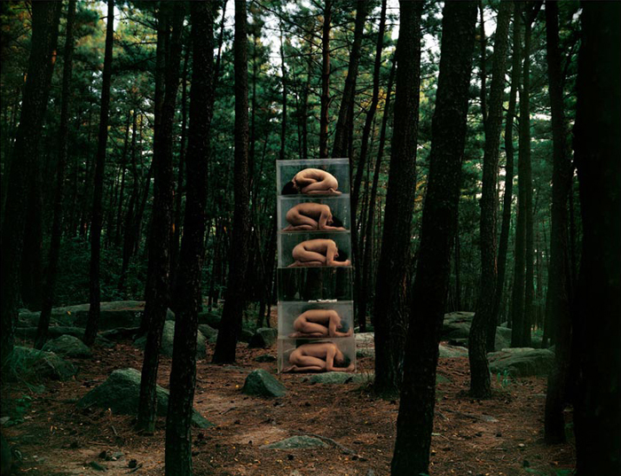 Field Series #030, 1997