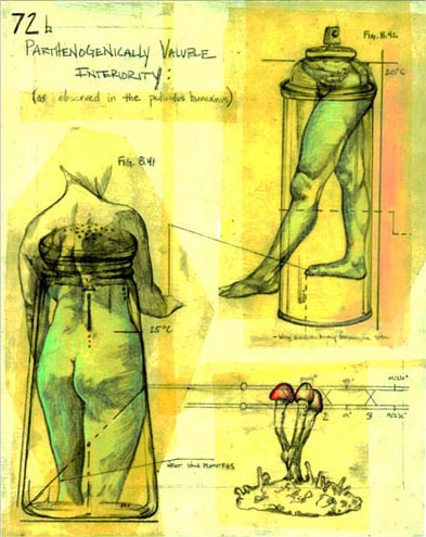 Experiment 72b, 8 in. x 10 in.