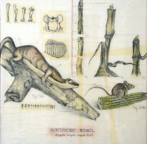 Proposal for an Album Cover, 18 in. x 18 in.