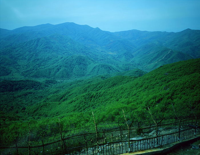 DMZ Series #088-2, 2005