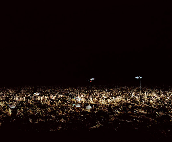 Decoy Setup at 6 a.m.