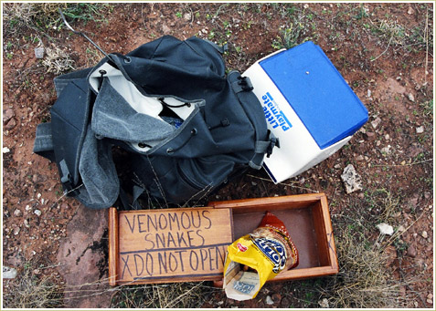 Garden sprayers filled with gasoline are used to flush them out and into boxes.