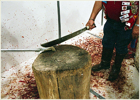 After being weighed and measured, the snakes are then beheaded with a swift chop.