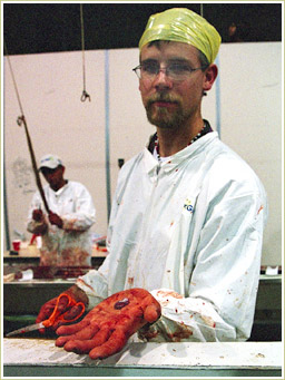 Chinese doctors drive all the way from Dallas to purchase fresh snake gall bladders. This man is responsible for saving them.