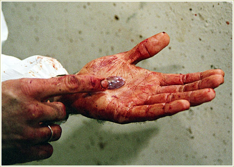 The still beating heart of a freshly killed Rattler.