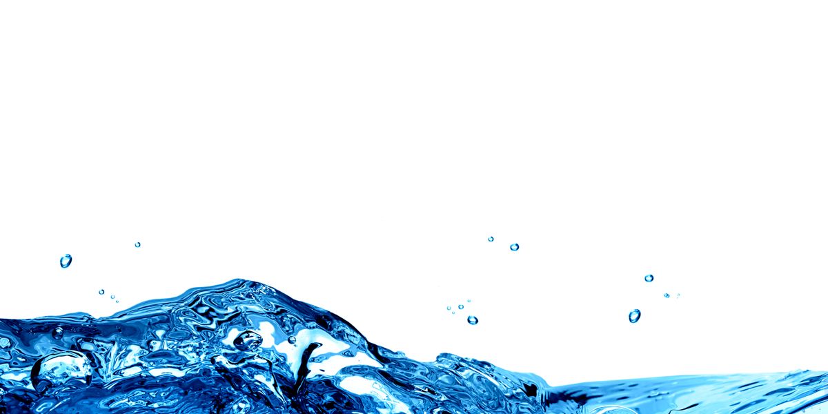 The Year That Was and Wasn’t