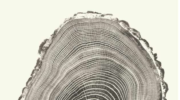 Artist for the Trees