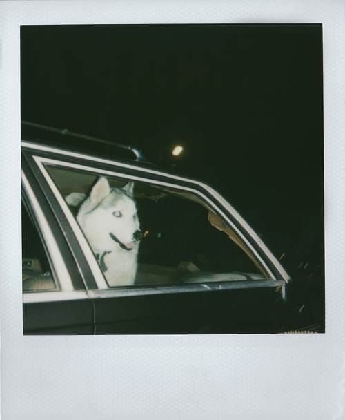 Handicapped Children