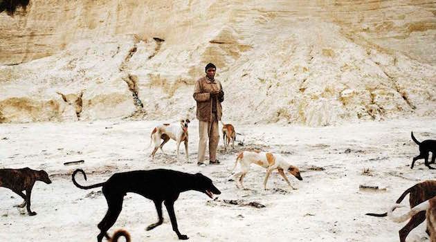 Tales From the City of Gold