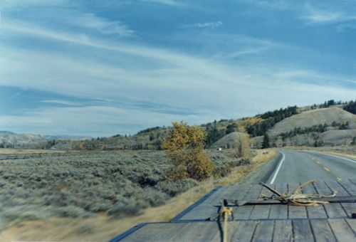 The Year of the Grey Rabbit