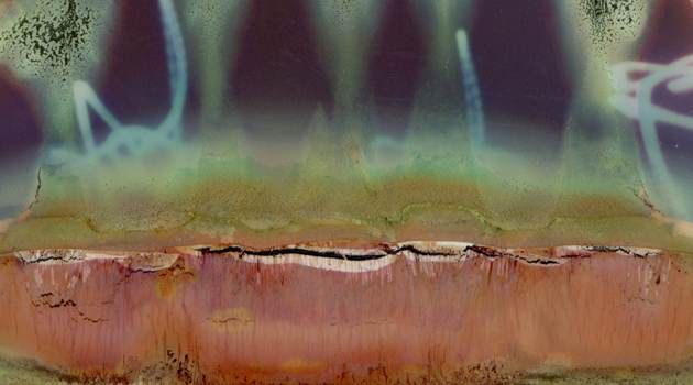 Elegy to the Polaroid SX-70