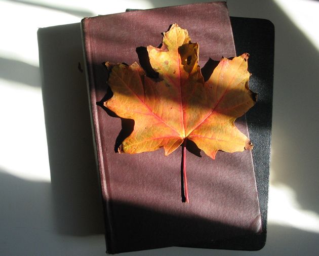 Reading Is in the Air