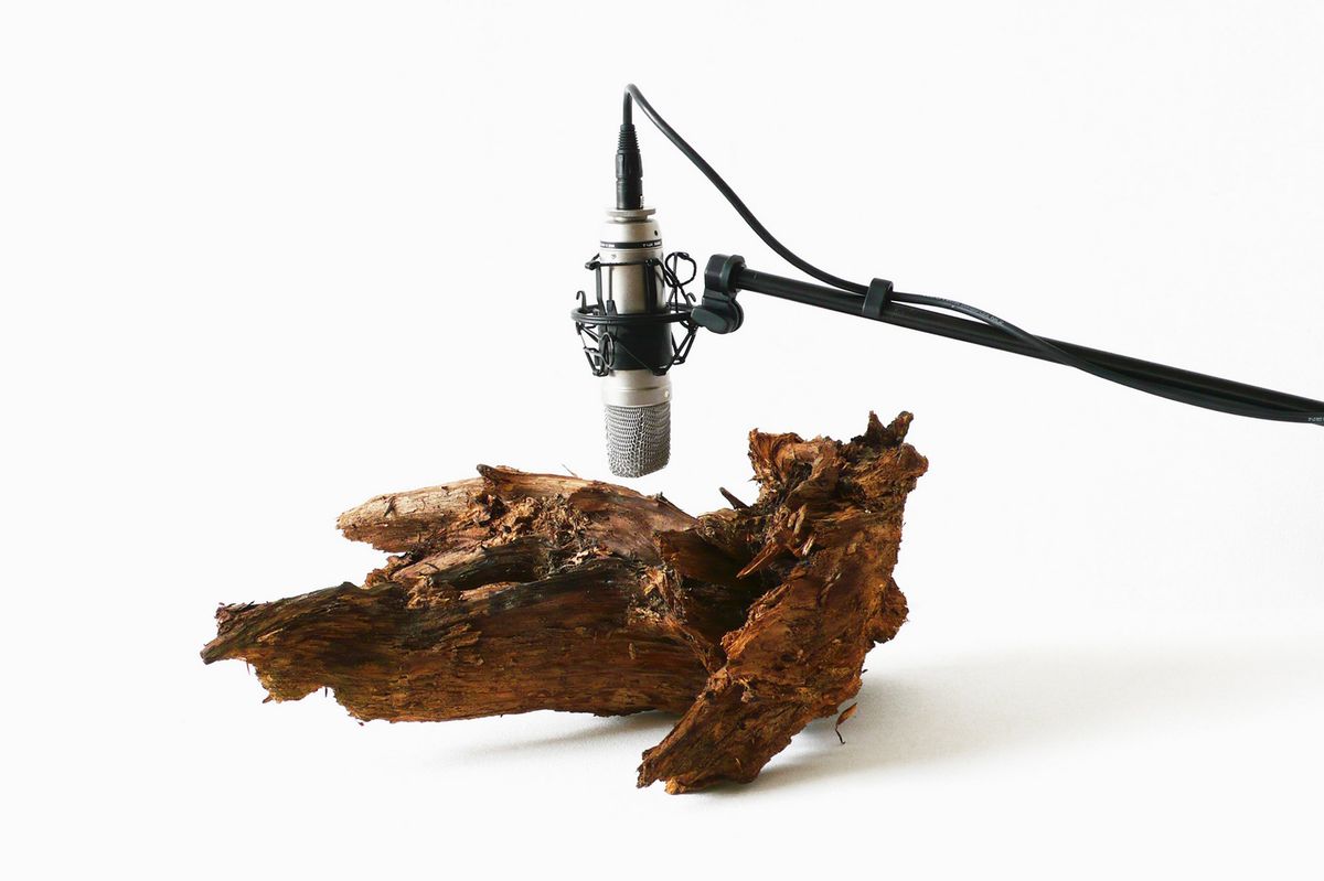 The Pyongyang Papers