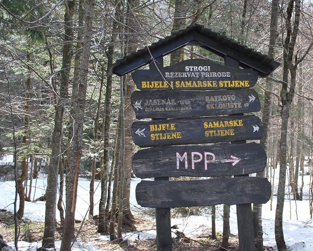 The Vacation Question