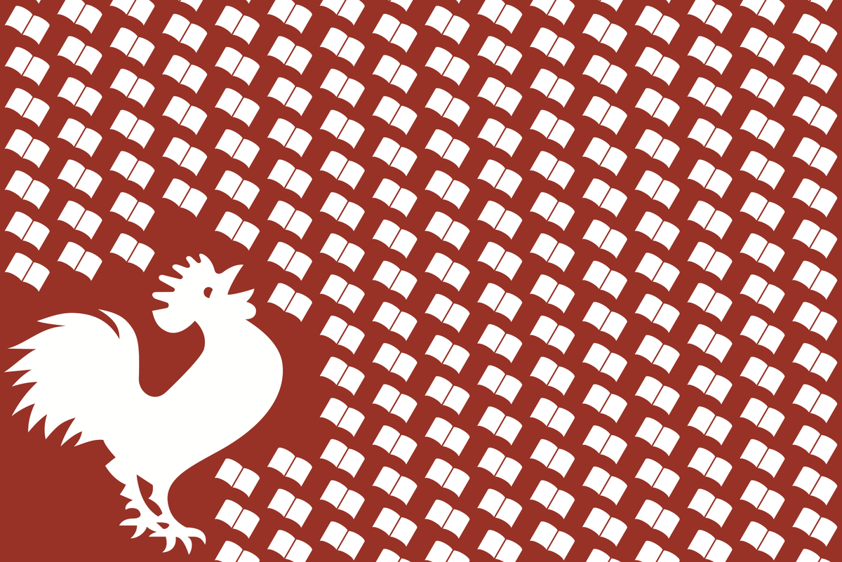 The 2017 Tournament of Books Long List