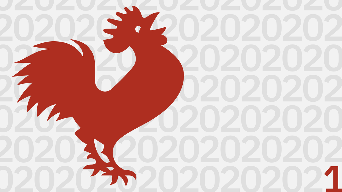 The 2021 Tournament of Books Long List