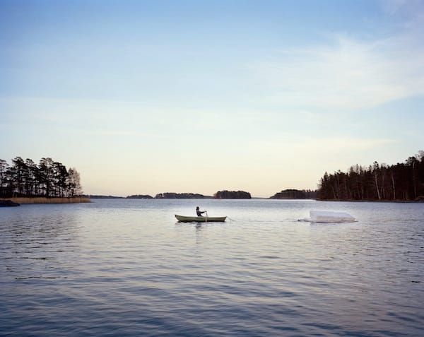 Watching for the Buffleheads