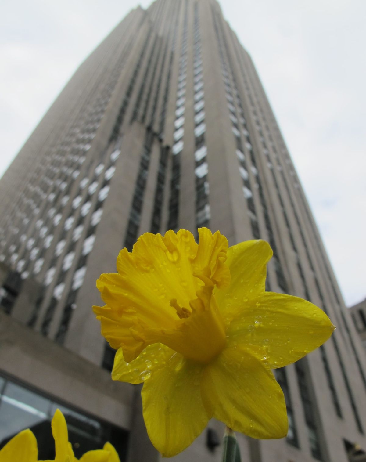 Persephone in the Park