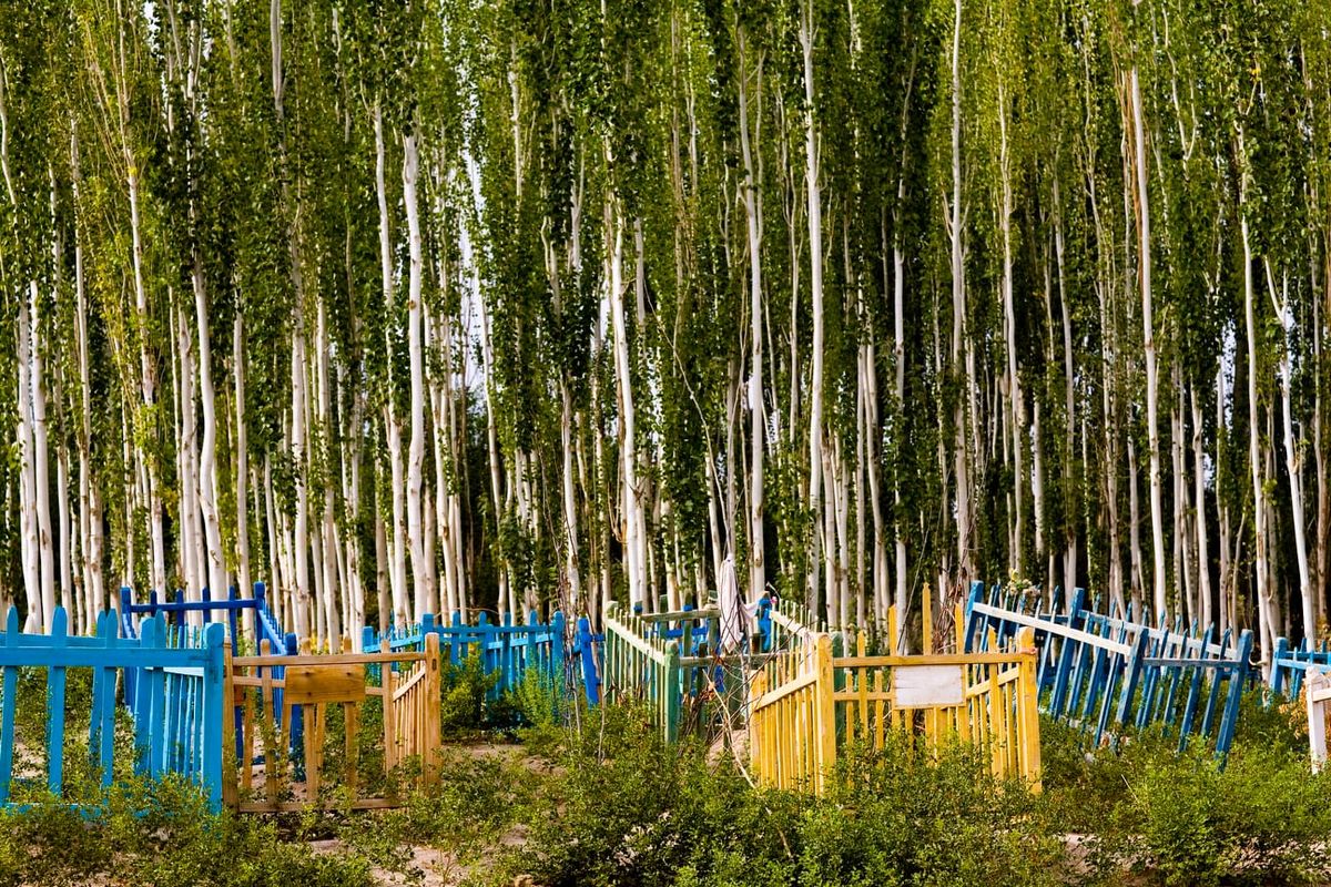 No Blanket Left Behind