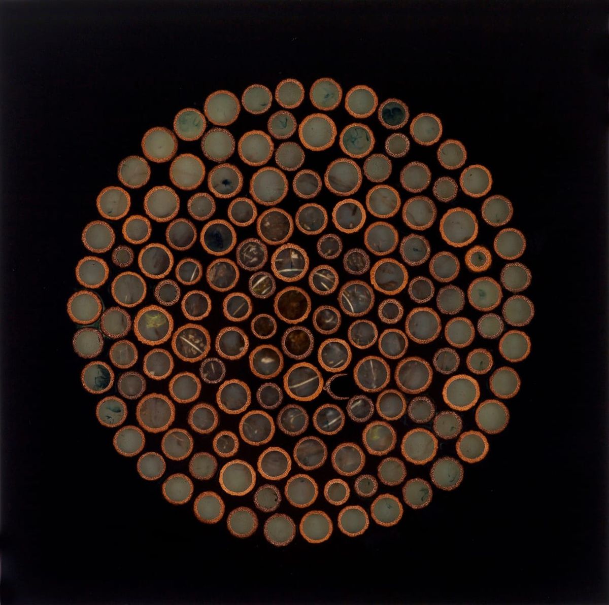 The Dosa Gentrification