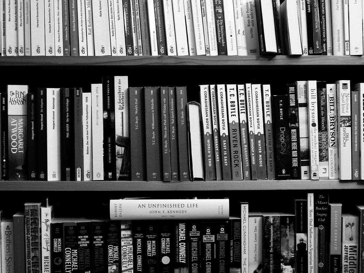 The Greatest Book Review Ever