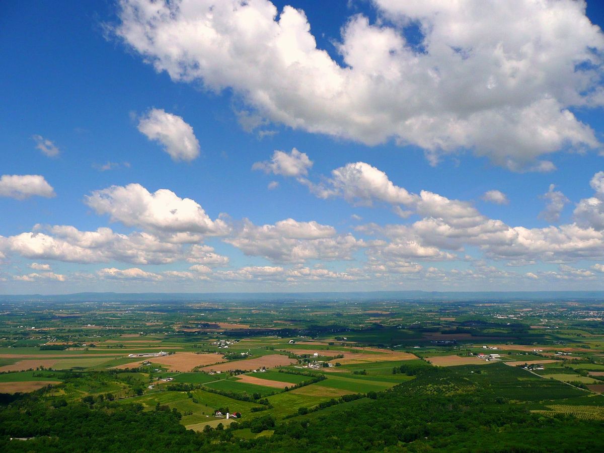 The Impossible Everything That Everybody Wants