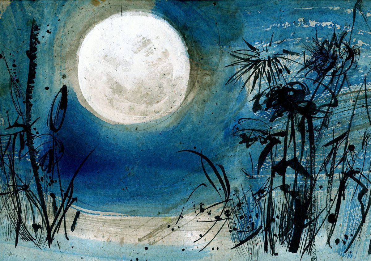 The Lost Pondshiners