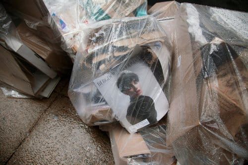 The Luxe Love Life of Veronica van der Vöorhies