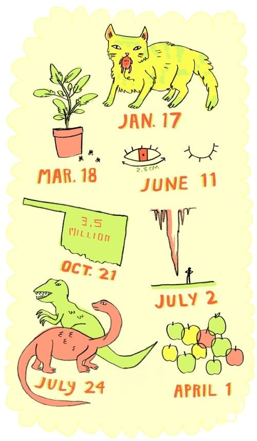 The Year of Practical Thinking