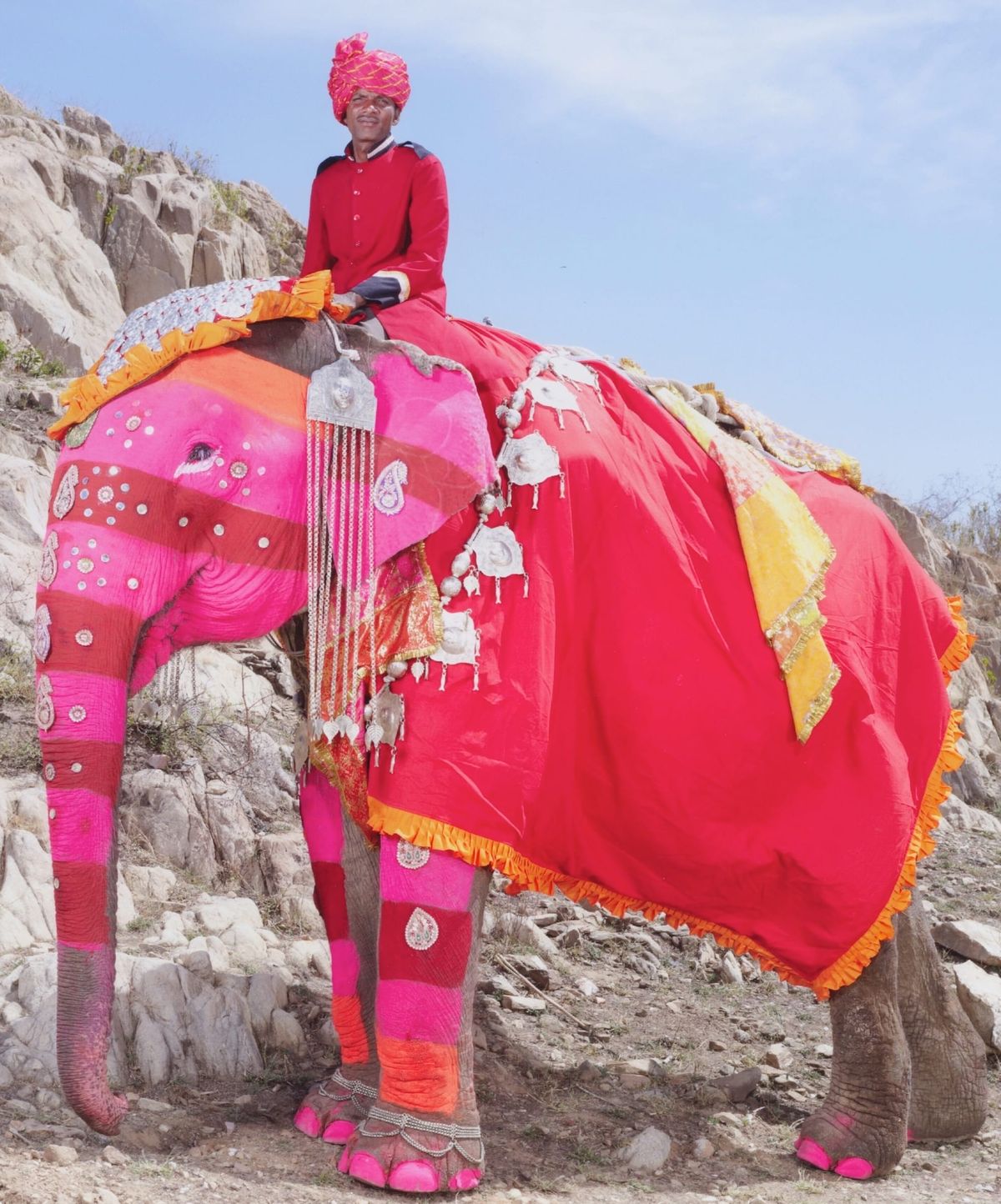 Water From Elephants