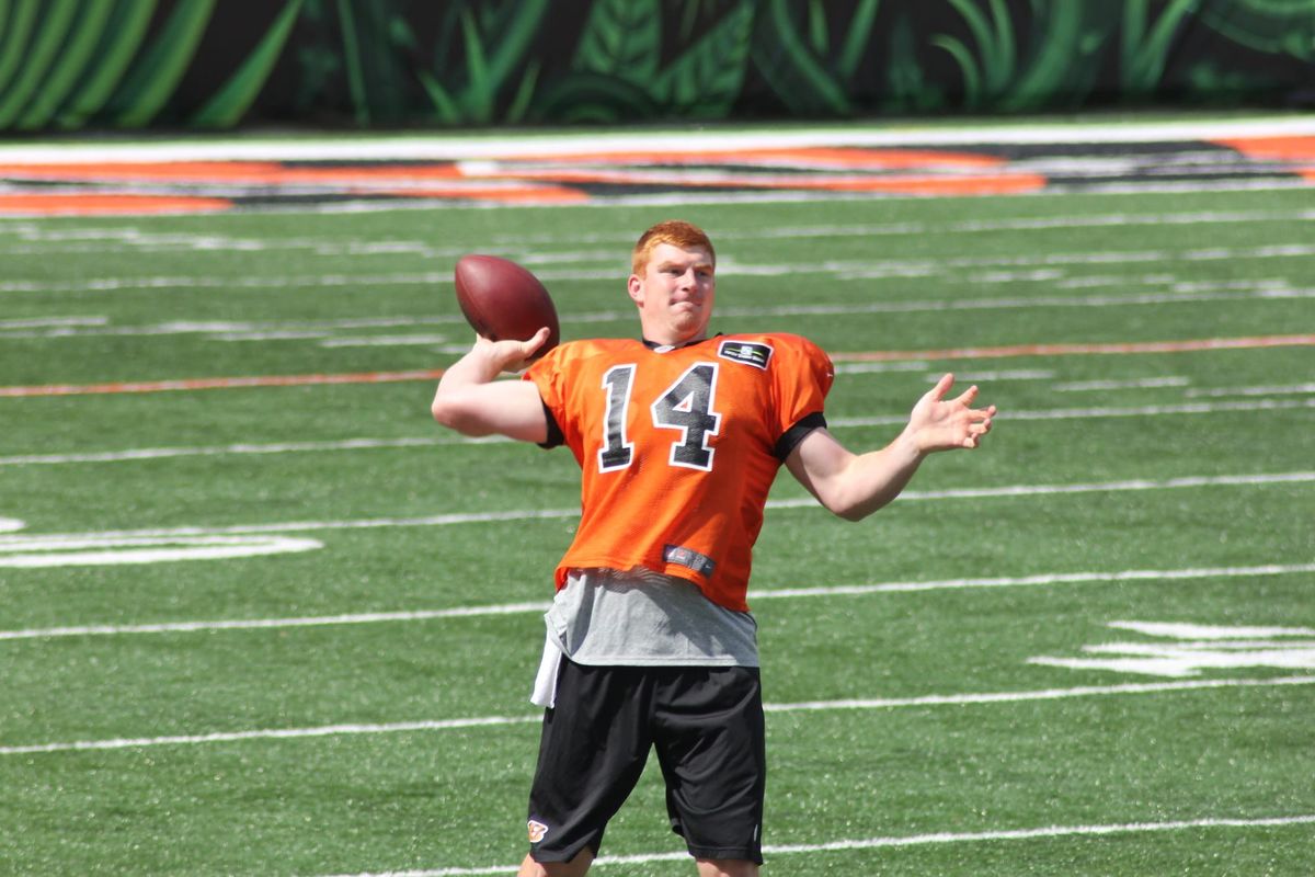 Wild Card Weekend Stinks