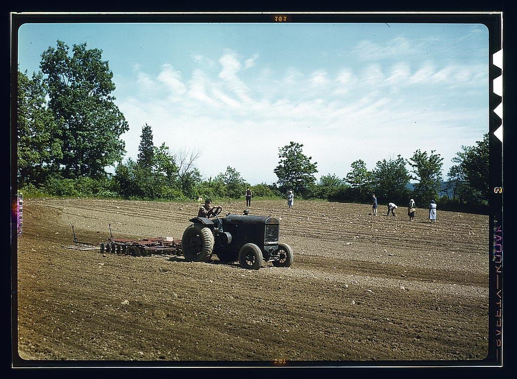 A Pledge to My Readers