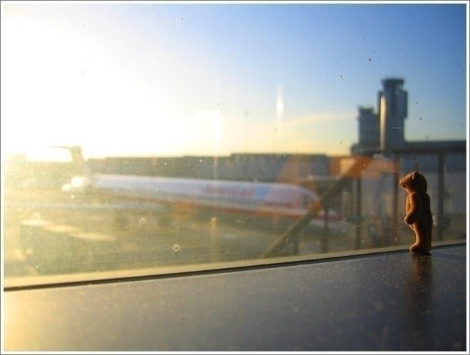 The Bear Goes to Paris