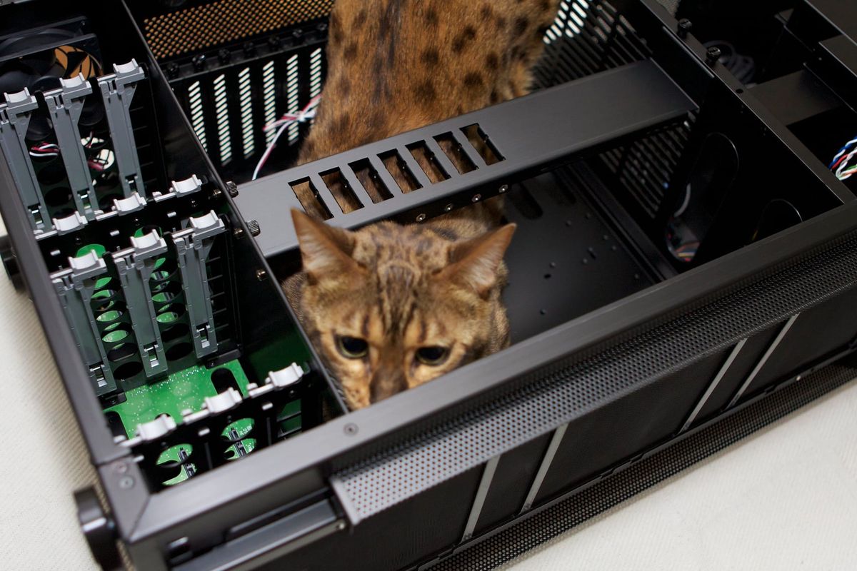 Home for the Holiday Tech Support