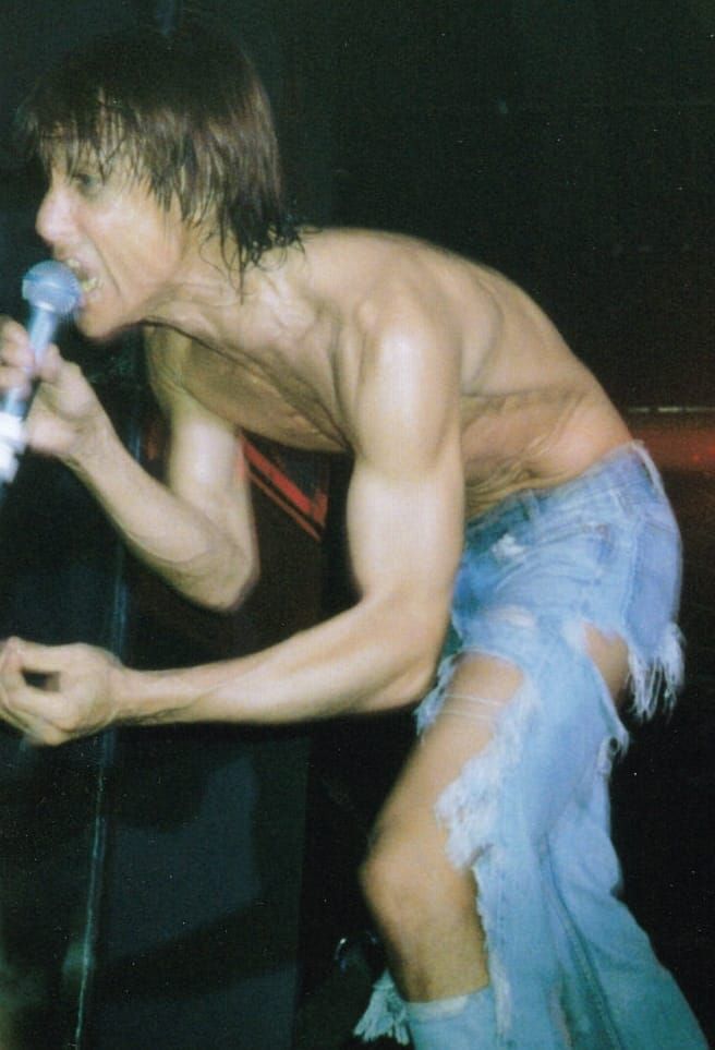 Iggy Pop Lusts for Life