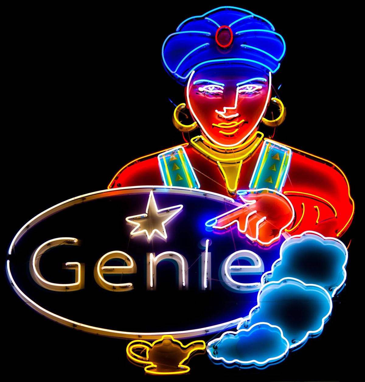Interview With the Genie