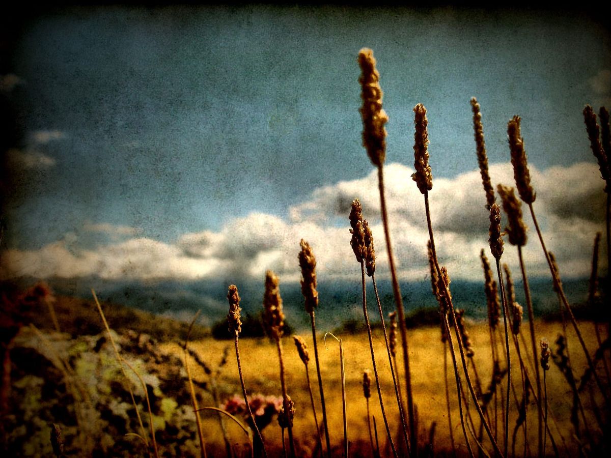 Just My Imagination