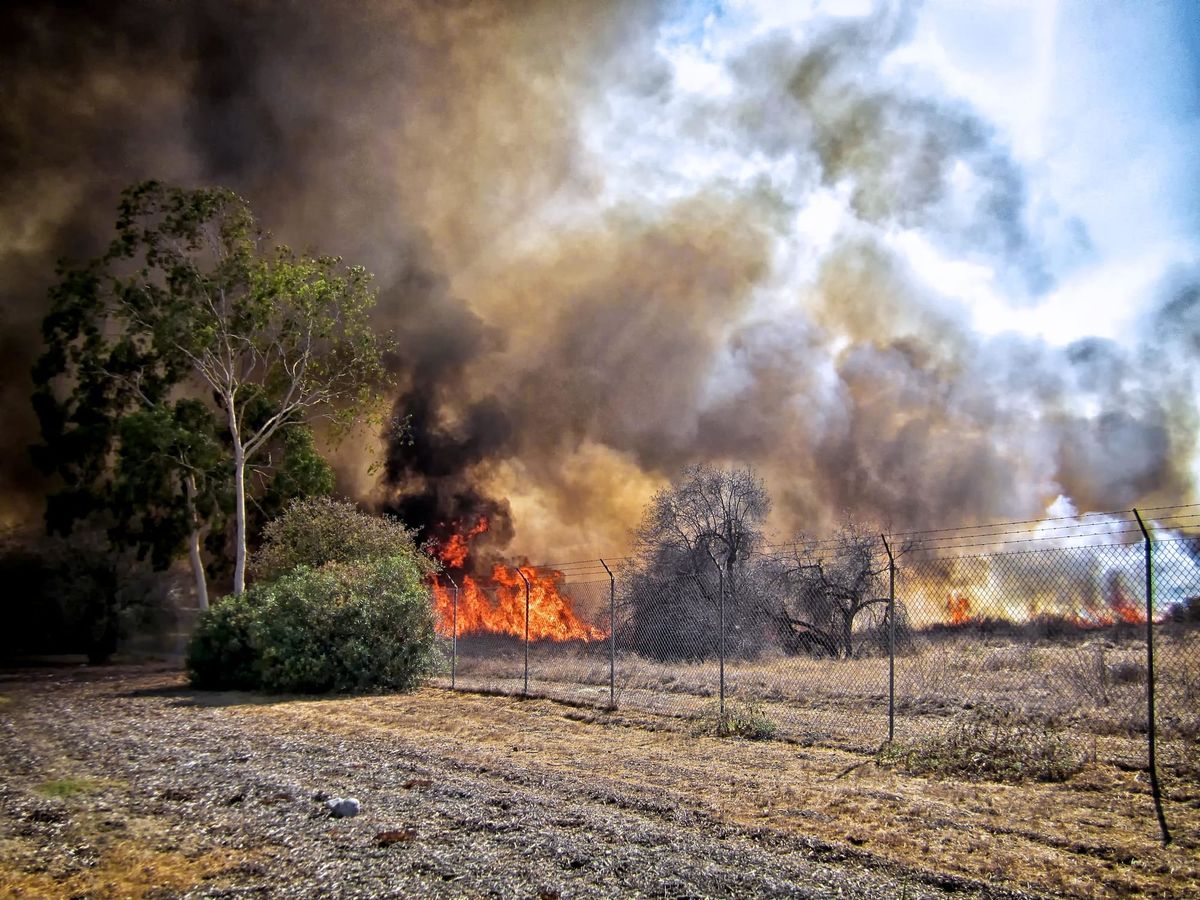 California is America’s greatest hope for climate change reform