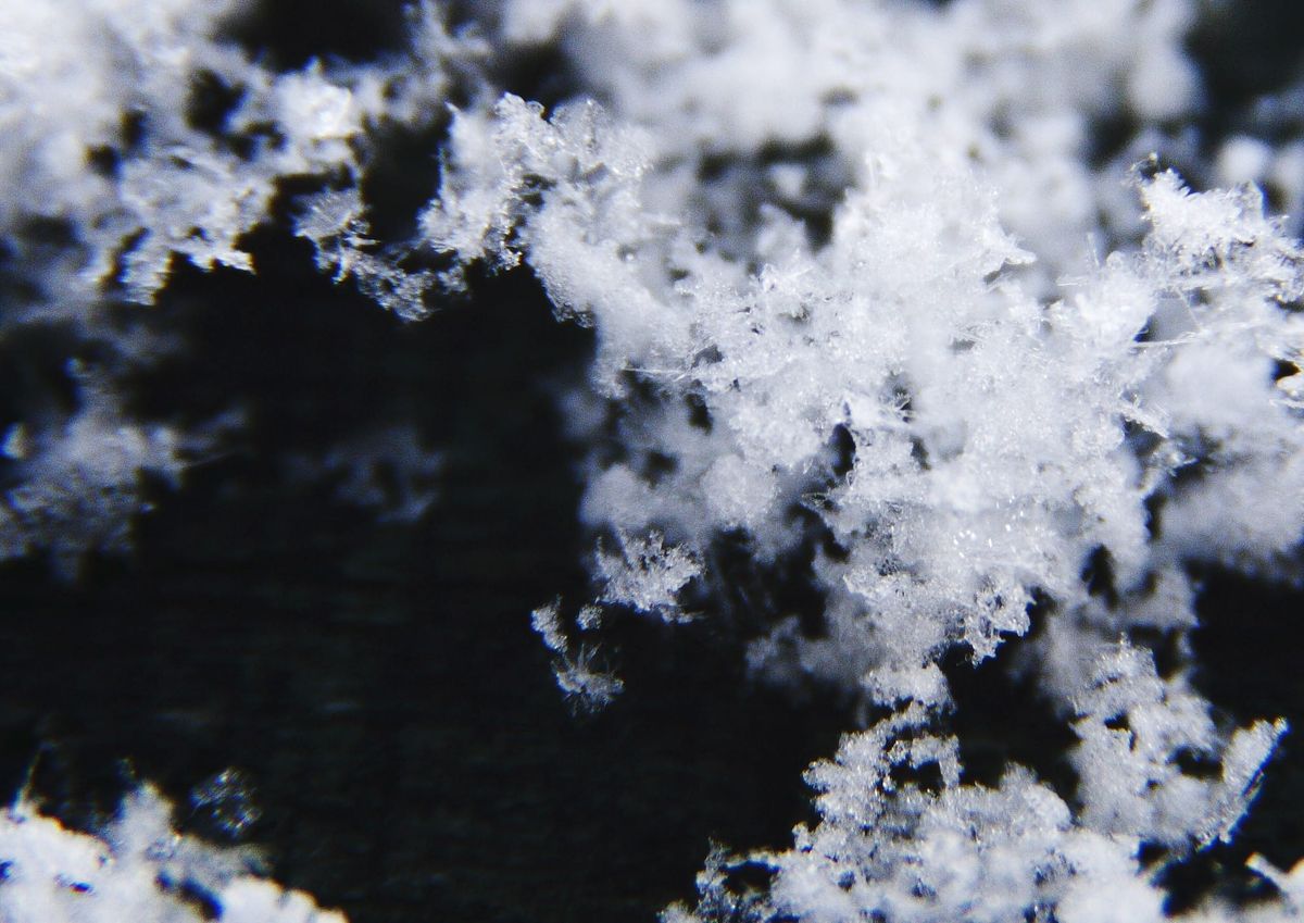 The fruits of chaos: How to spot emergence
