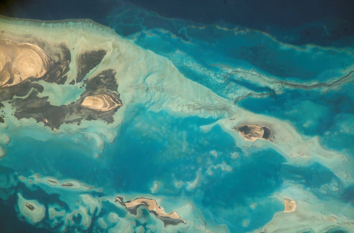 The oceans are under assault, and not just from the White House and friends