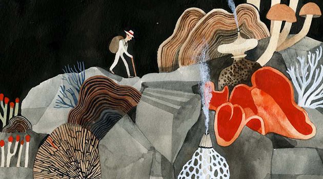 In Between Insomnia and Scandinavia