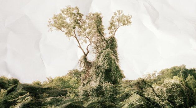 Paper Mountains
