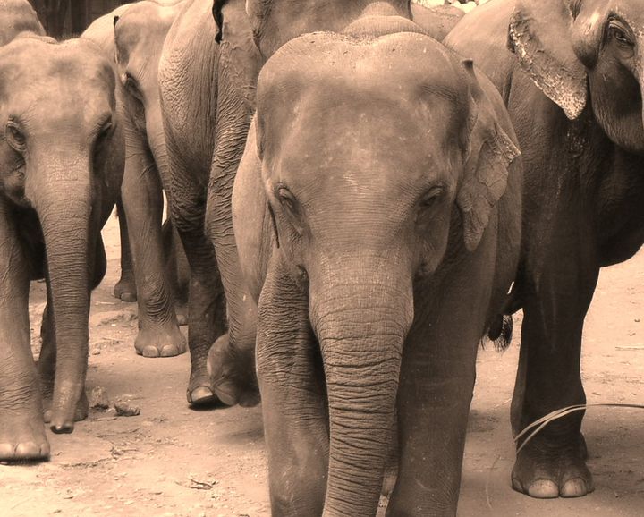 Reading With the Enemy