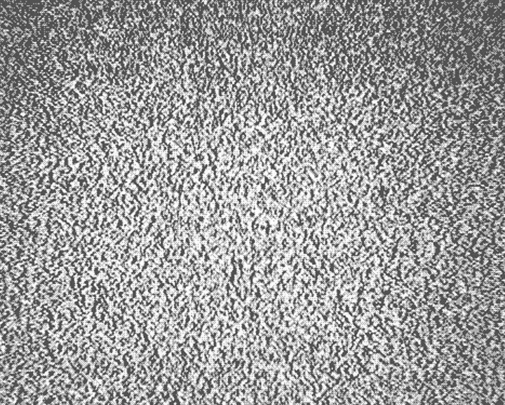 The Apocalypse Will Be Televised