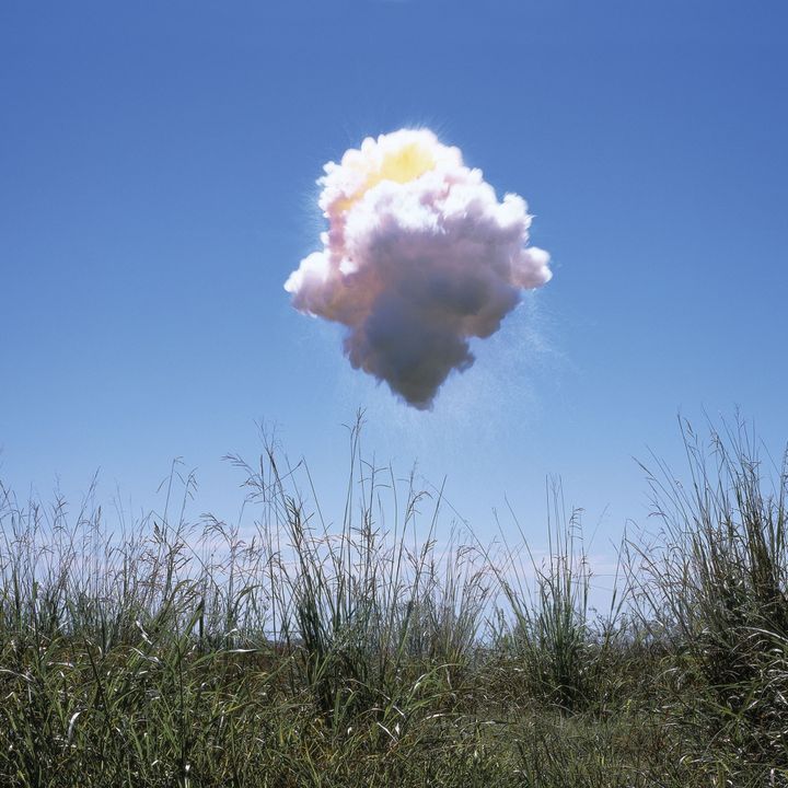 The Girl on the Lawn